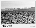 Luca Bossi - low7761